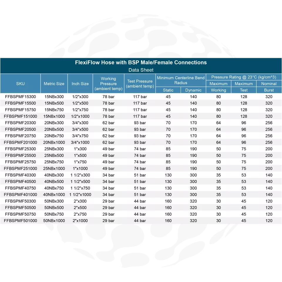 FlexiFlow Hose with BSP Male/Female Connections-1