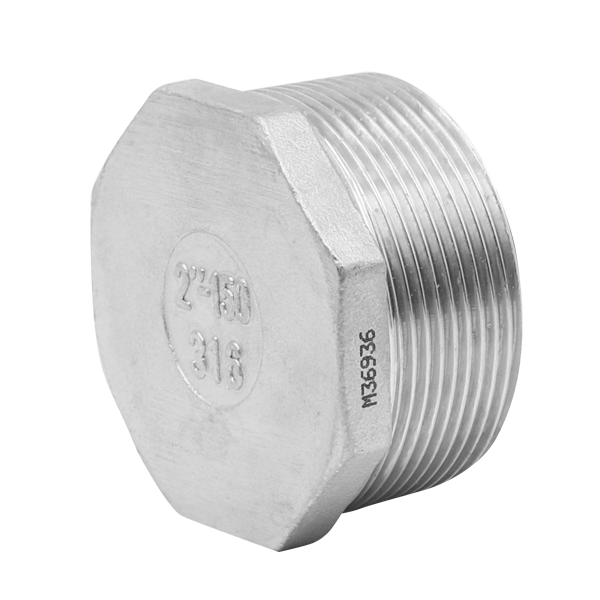 NPT Hex Plug