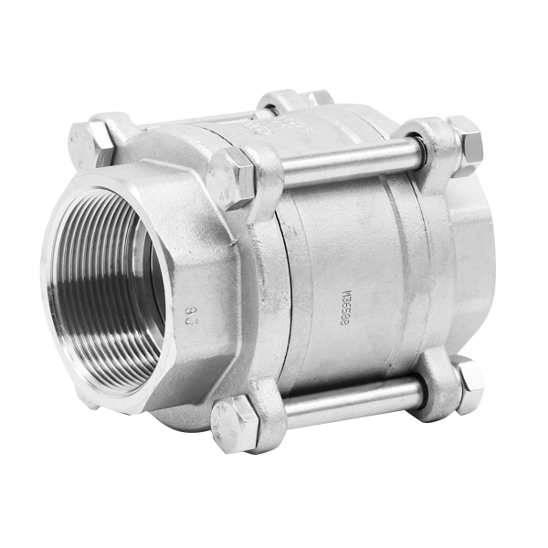 spring check valve