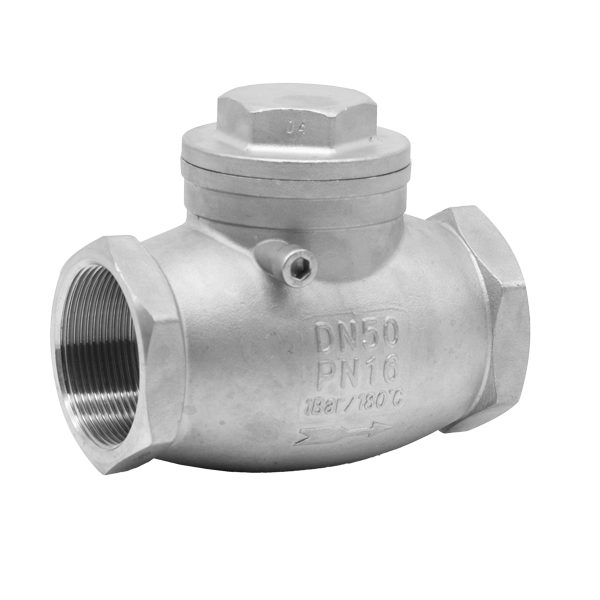 BSP Swing Check Valve